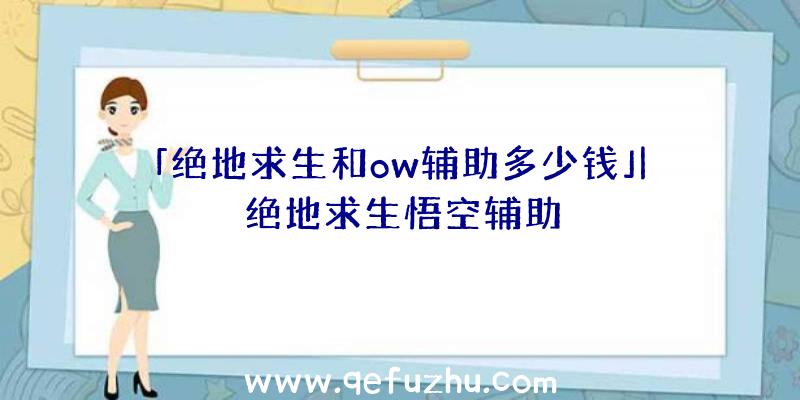 「绝地求生和ow辅助多少钱」|绝地求生悟空辅助